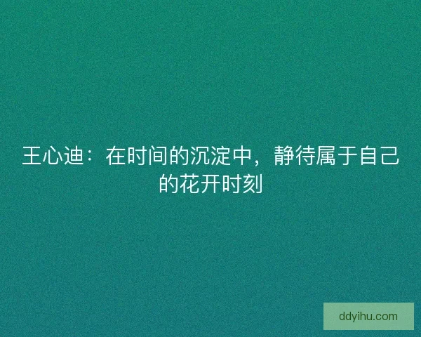 王心迪：在时间的沉淀中，静待属于自己的花开时刻