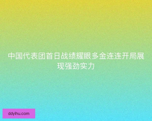 中国代表团首日战绩耀眼多金连连开局展现强劲实力 中国代表团首日战绩耀眼多金连连开局展现强劲实力