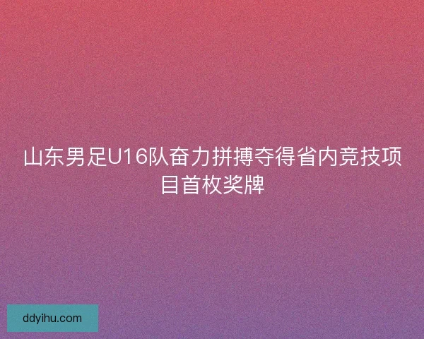山东男足U16队奋力拼搏夺得省内竞技项目首枚奖牌