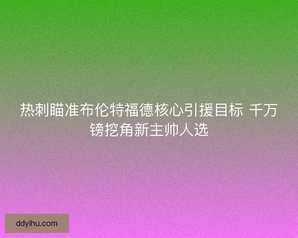 热刺瞄准布伦特福德核心引援目标 千万镑挖角新主帅人选